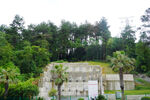 松林