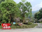 公猪脊森林公园