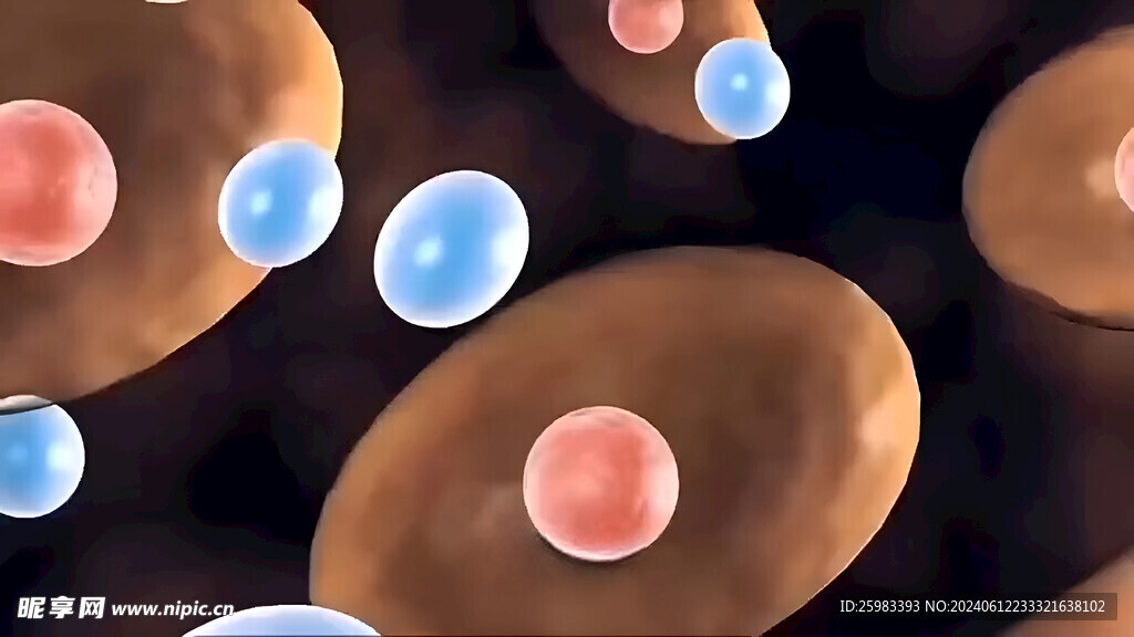细胞