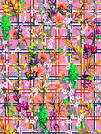 格子花花