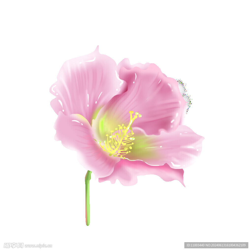 粉色花
