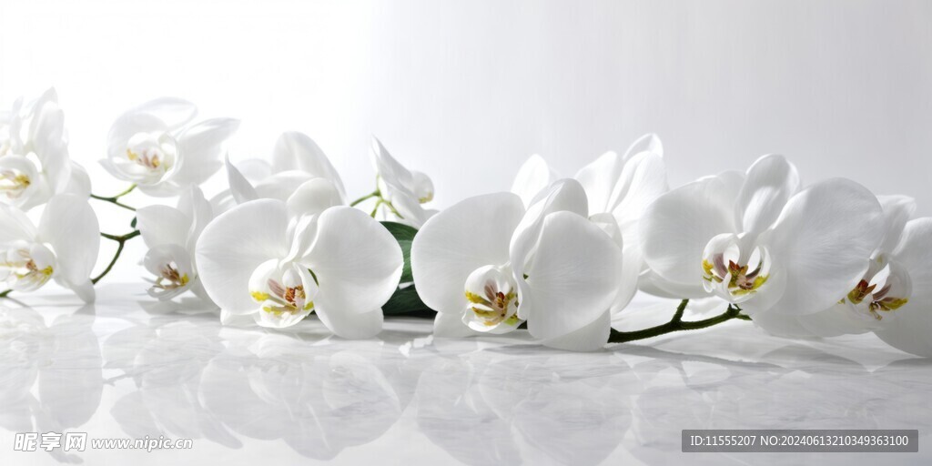 创意白色花朵水彩海报背景