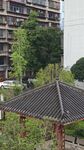 屋檐