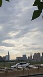 建筑天空树叶