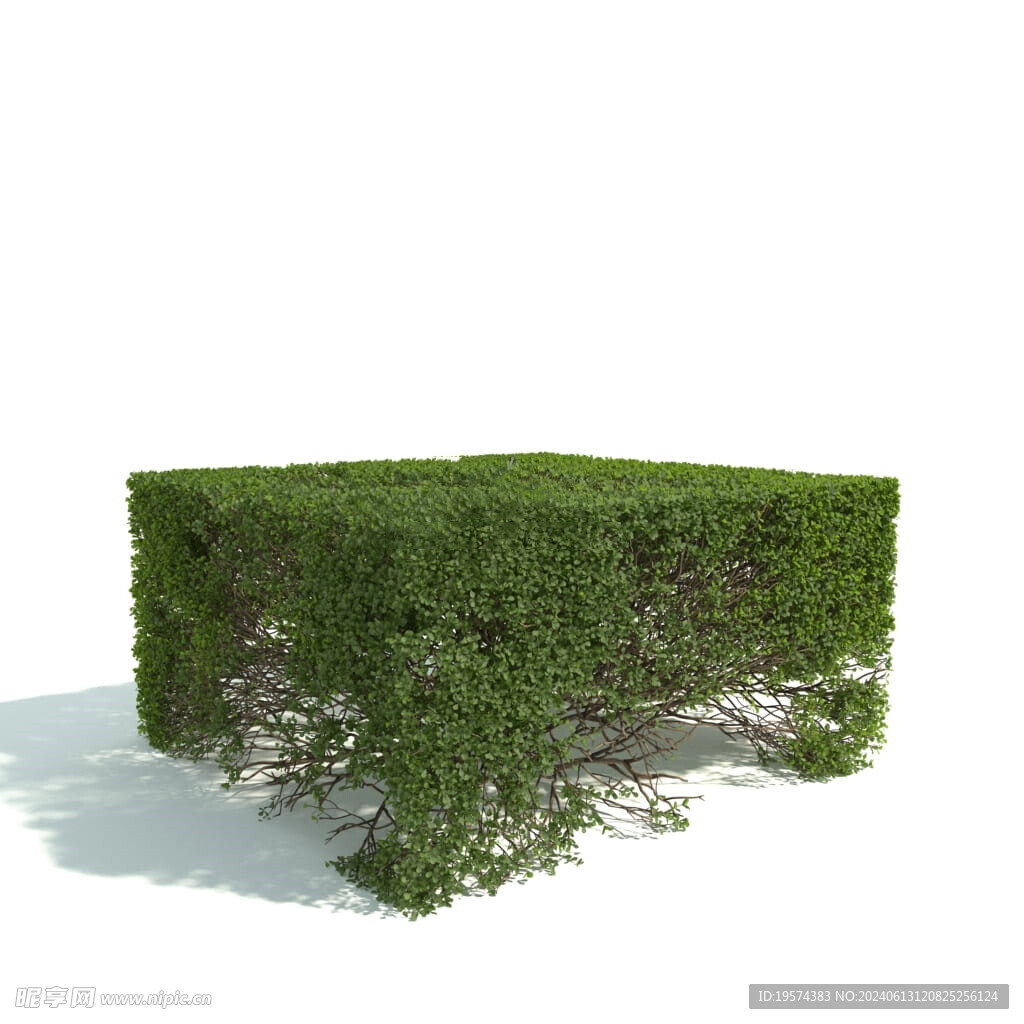 C4D模型 绿色植物