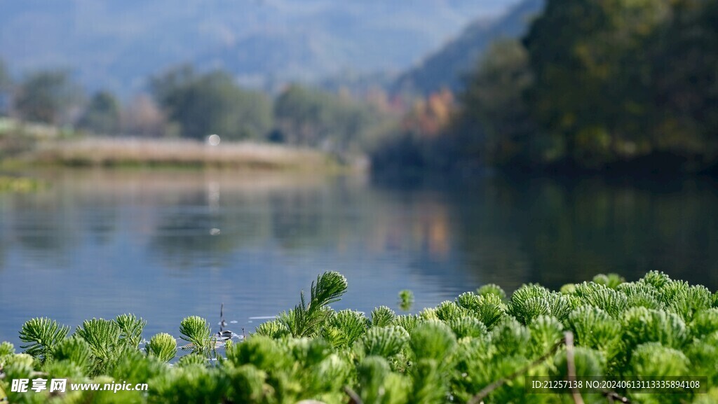 楠溪江珍溪