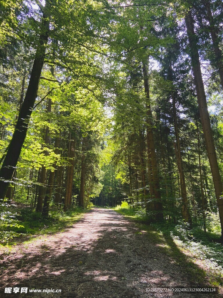山脉