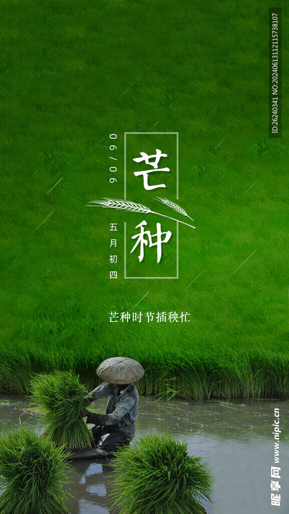 芒种