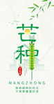 芒种