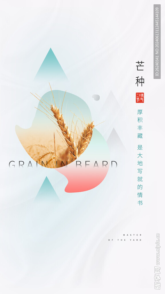 芒种