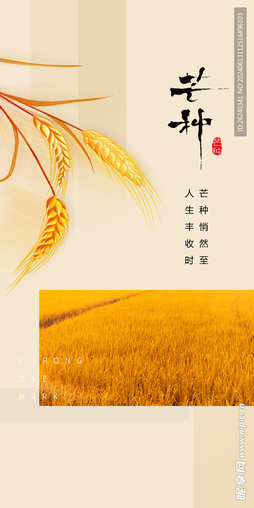 芒种