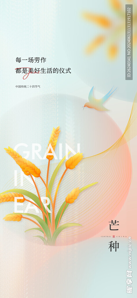 芒种