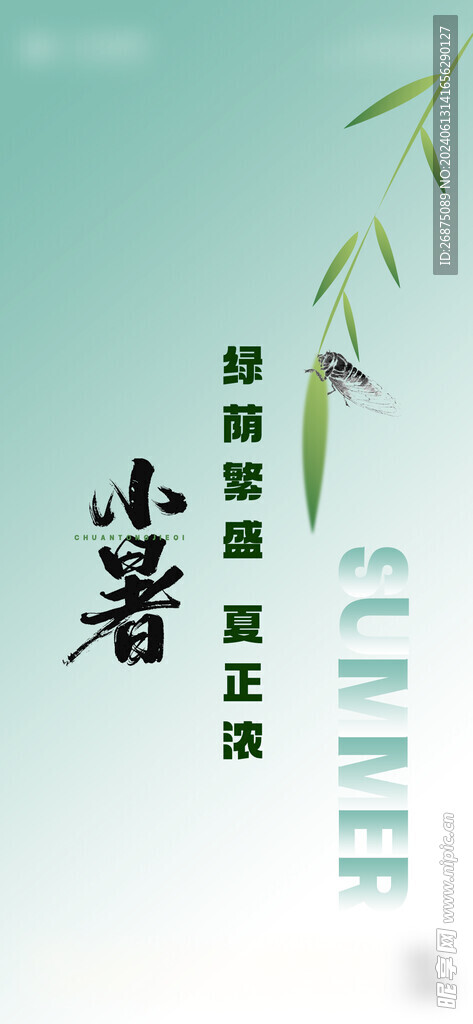 大暑海报