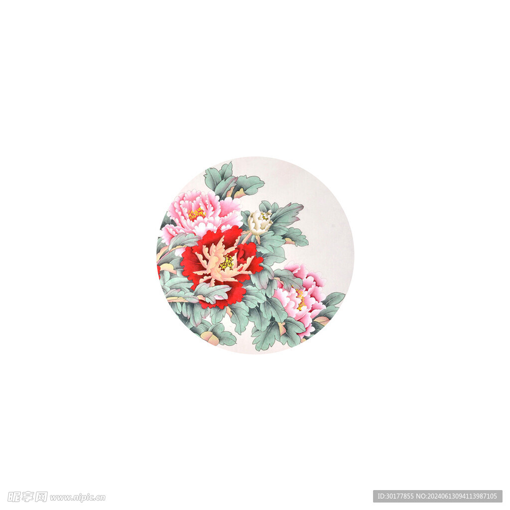牡丹花