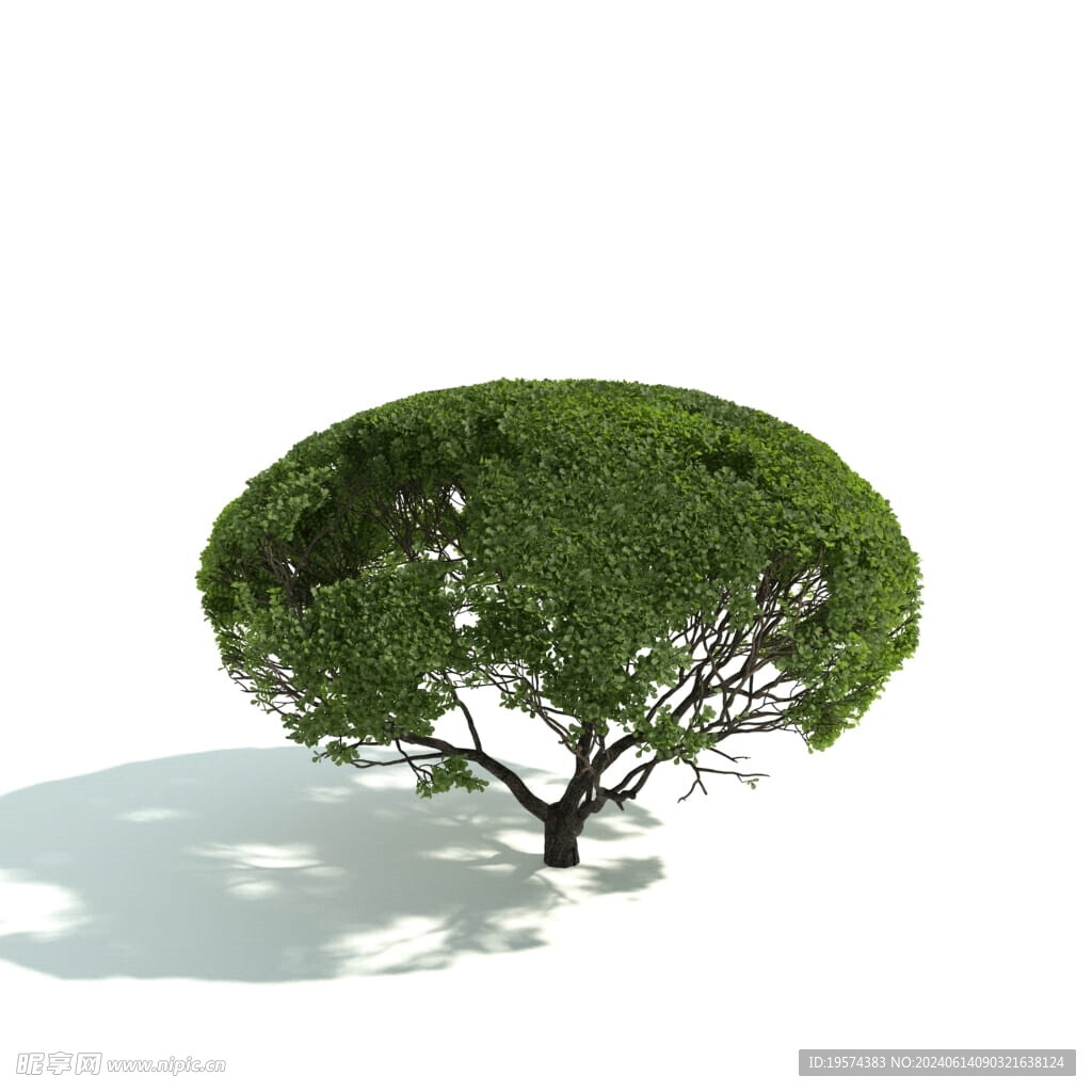 C4D模型 绿色植物