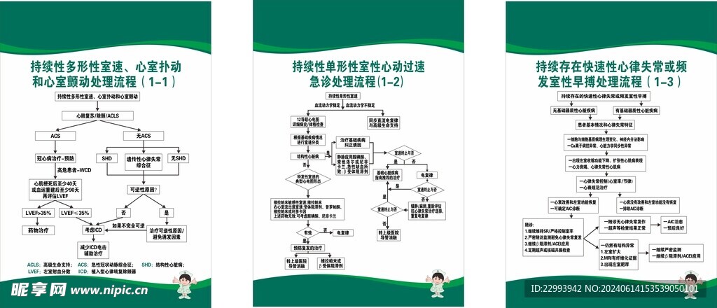 心律  处理  制度