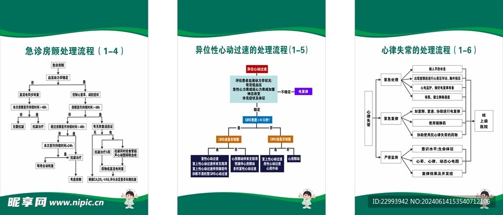 心律  流程