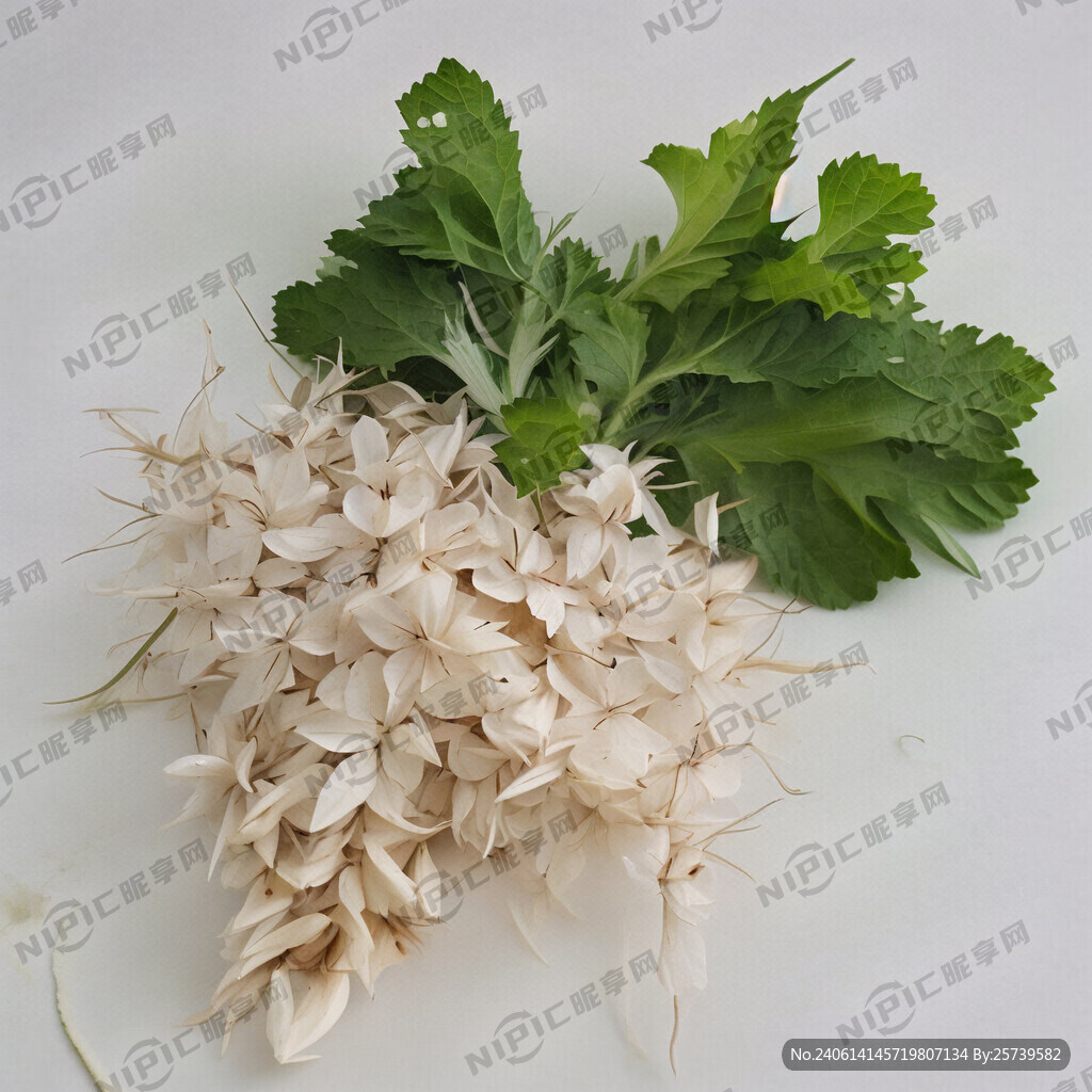 蓖麻