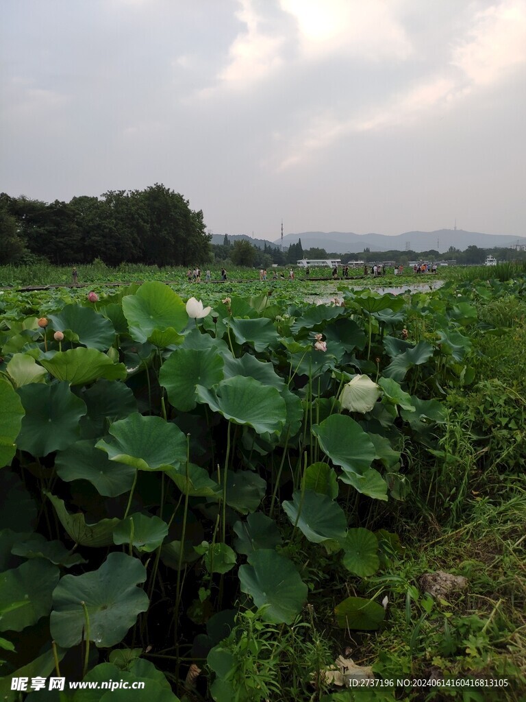 管社山庄