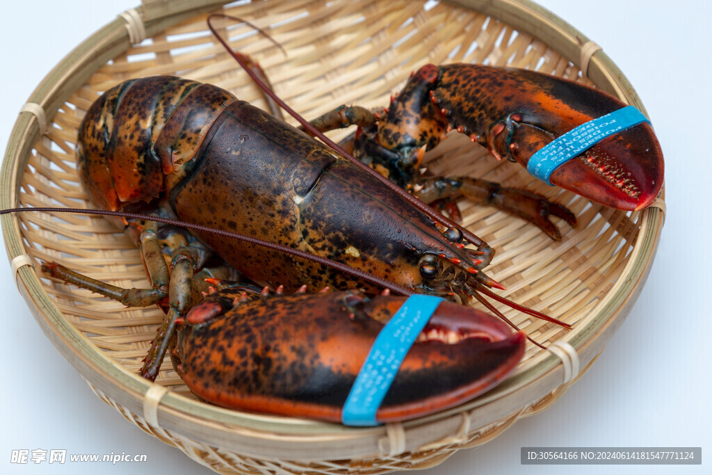 龙虾食材