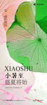 小暑大暑