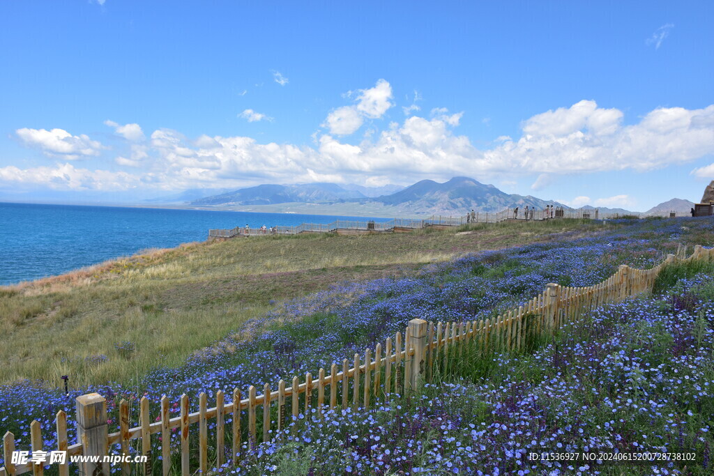 湖与花