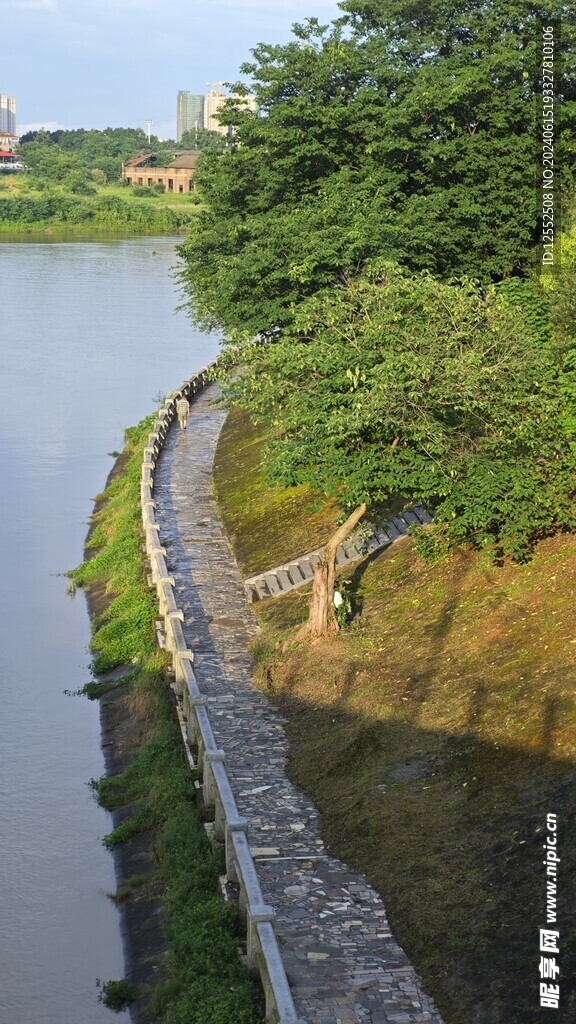 河水路树