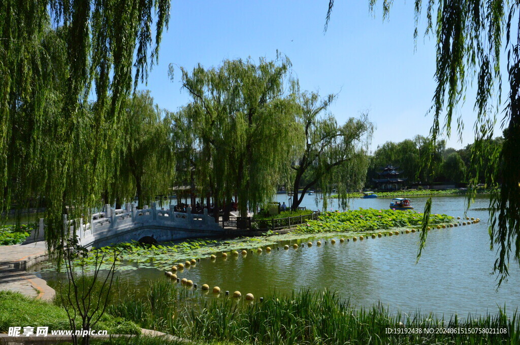 公园风景  