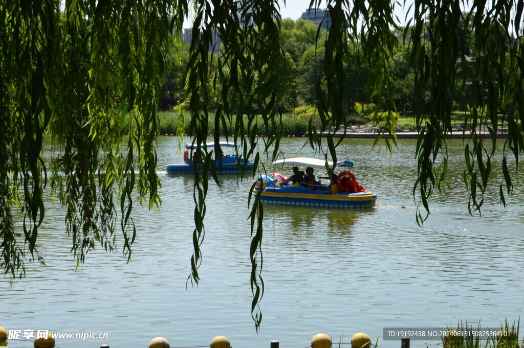 公园风景 