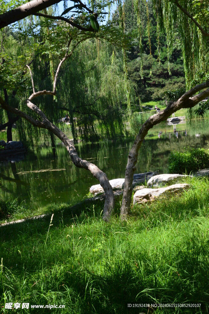 公园风景  