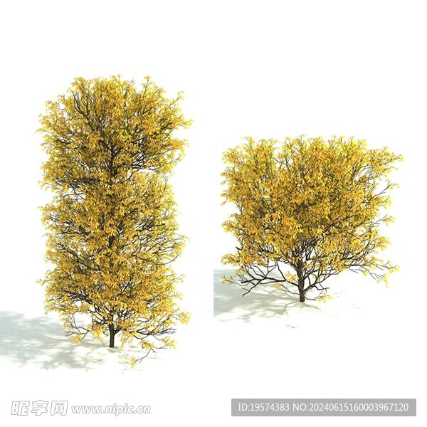 C4D模型 绿色植物