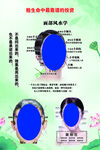 面诊