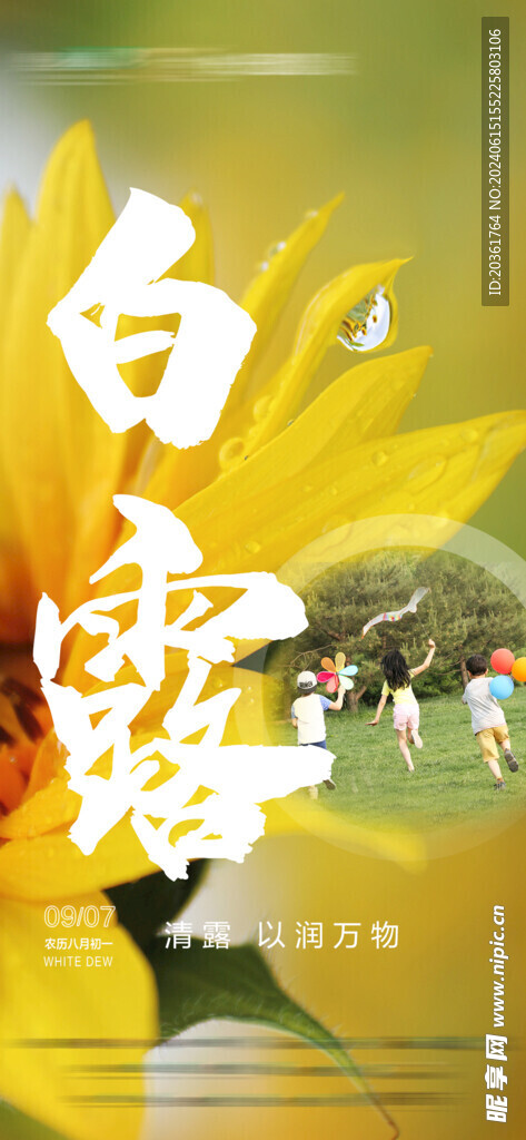 白露海报