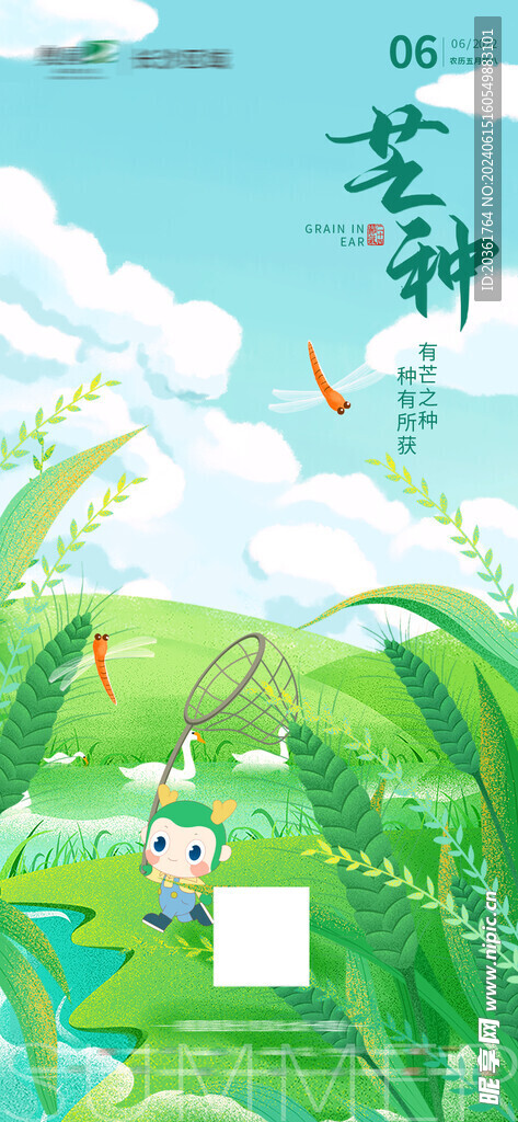 芒种海报