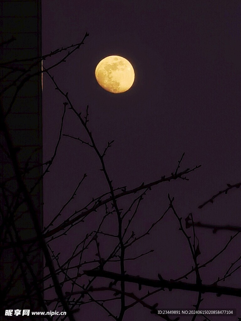 夜晚的月亮