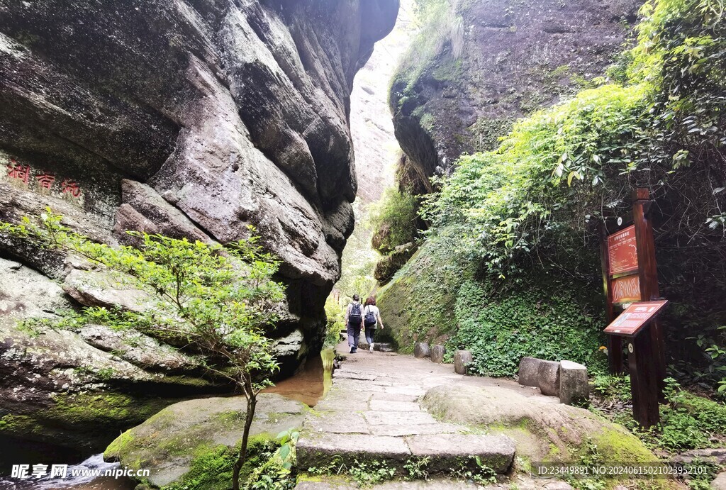 武夷山景区流香涧