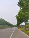 柏油路