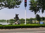公园假山