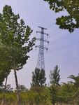 绿树高压架