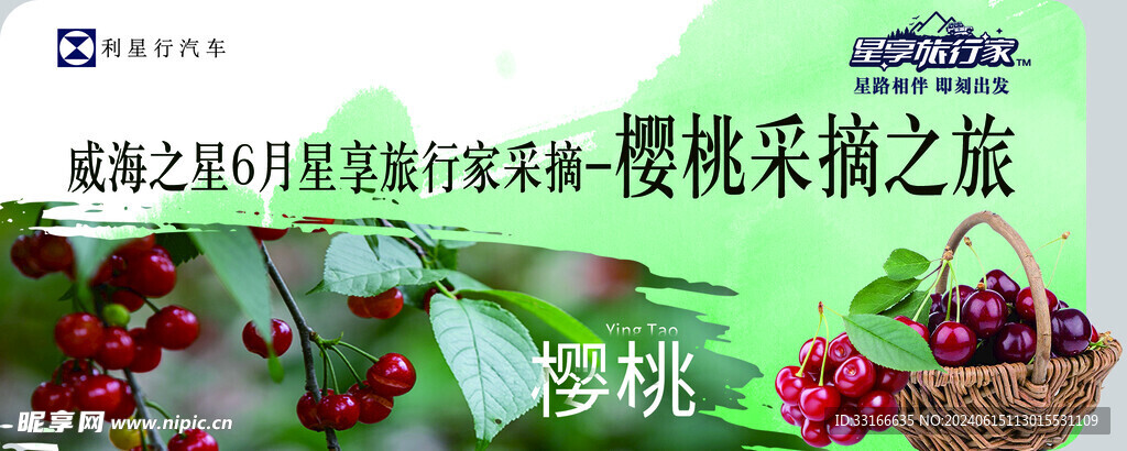樱桃采摘