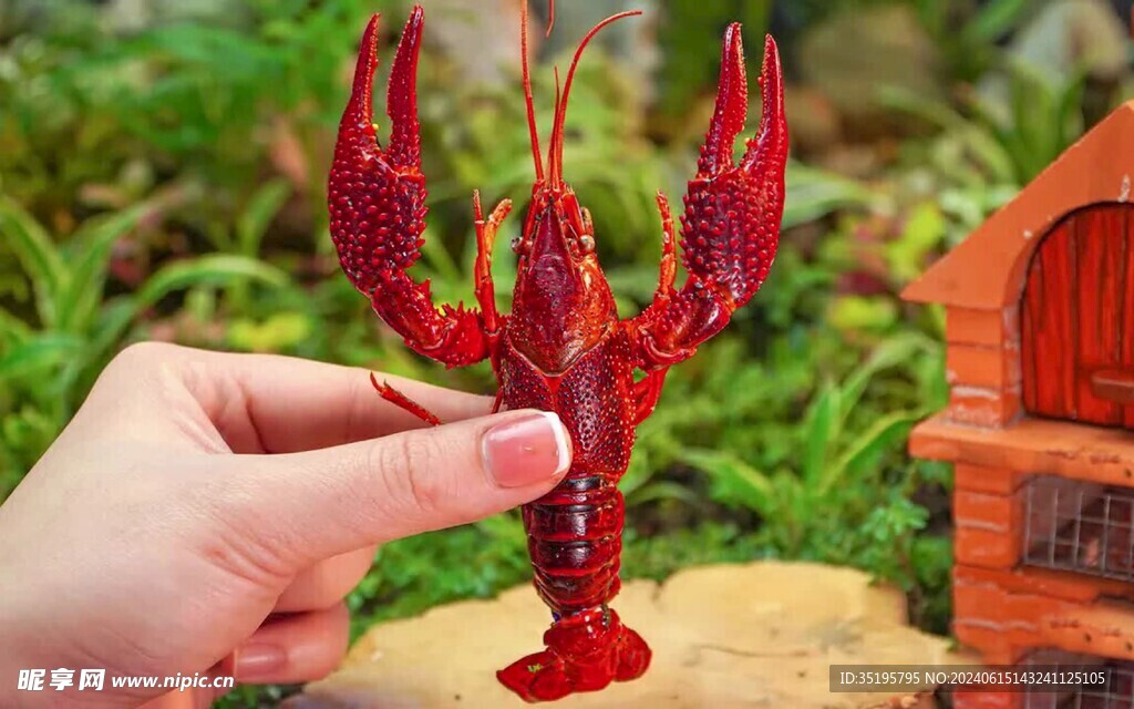 小龙虾