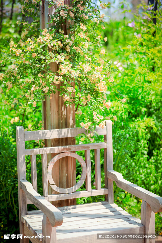 花圃椅子