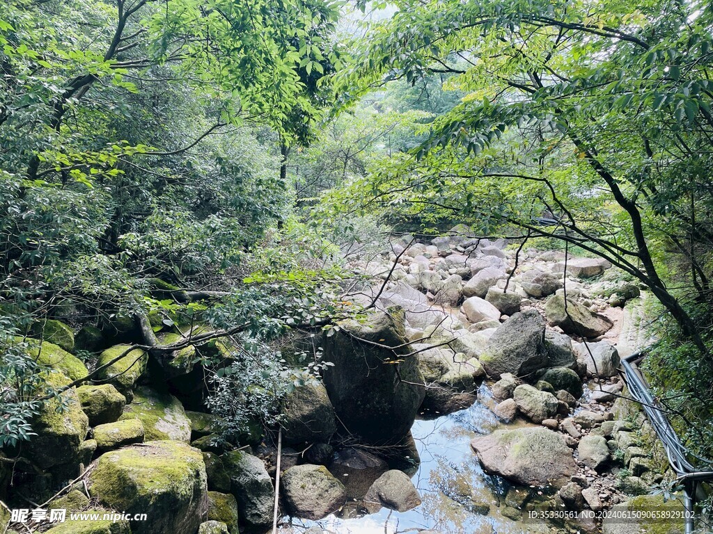 溪流