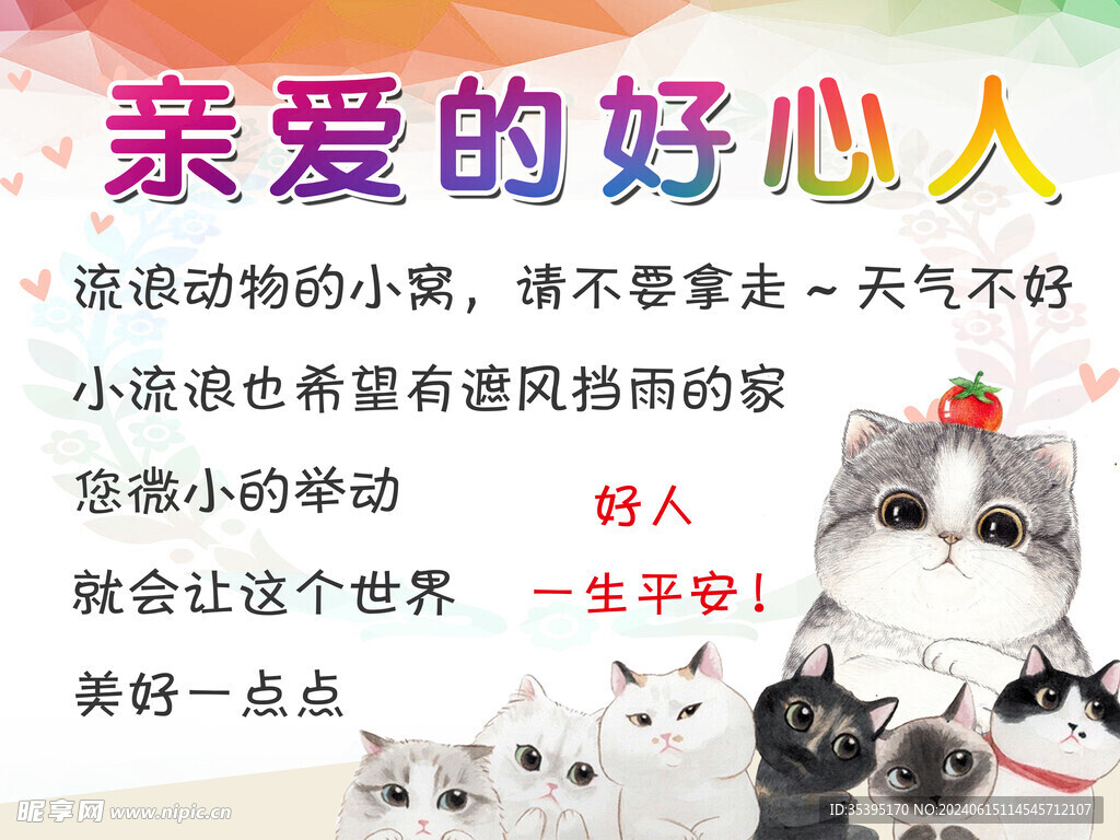 流浪猫狗海报