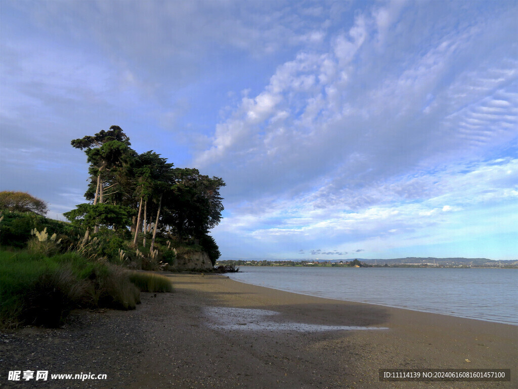 奥克兰海边风景