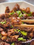 红烧鸡肉