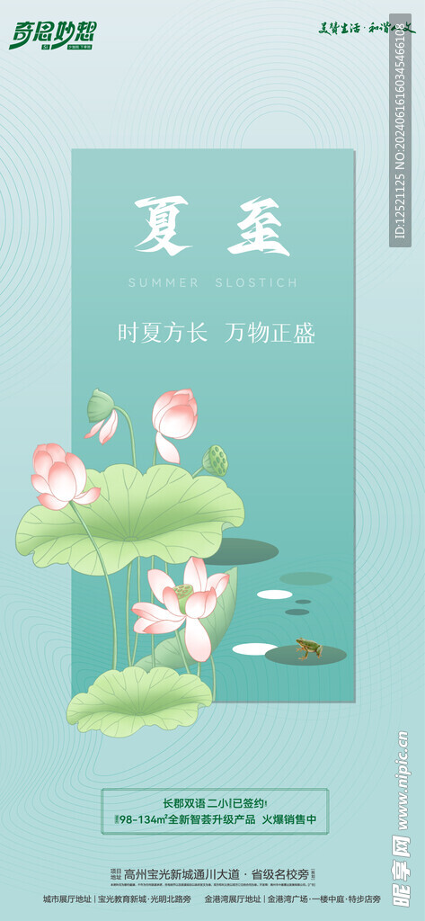 夏至节气海报