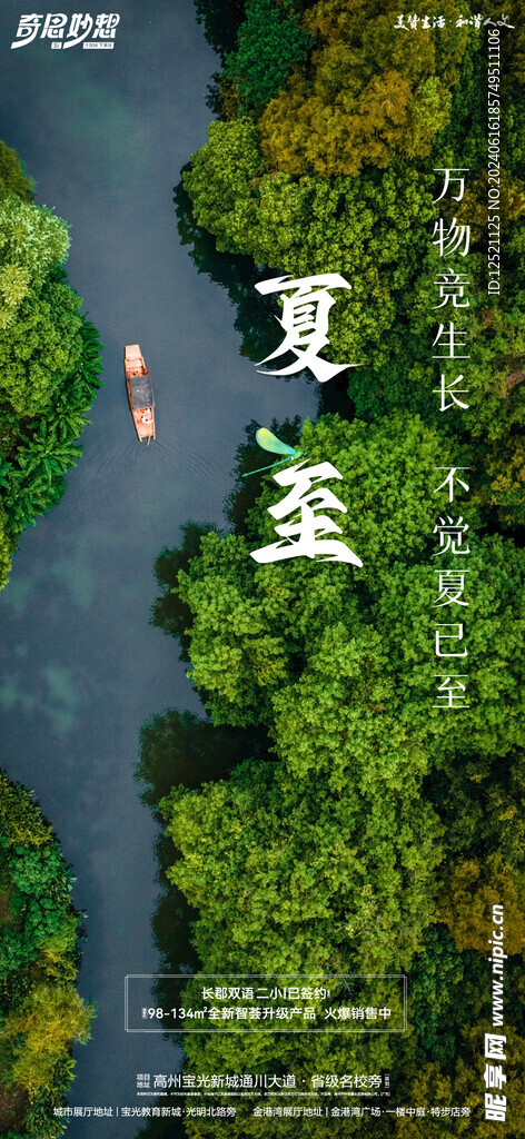 夏至节日节气海报