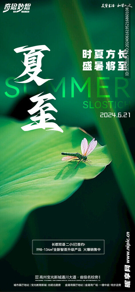 夏至节气海报