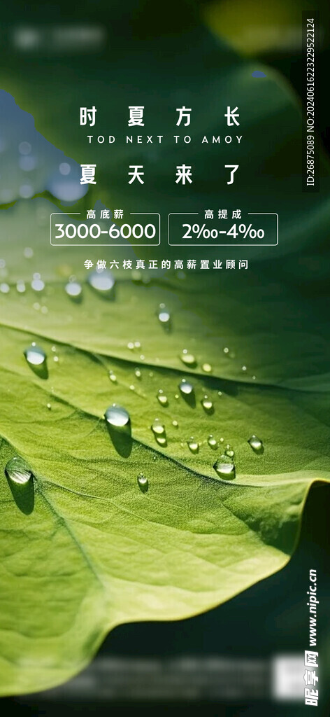 夏至海报
